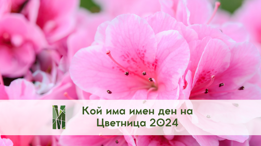 Кой има имен ден на Цветница 2024