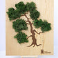 Picture "Bonsai Tree" | 25x30 cm