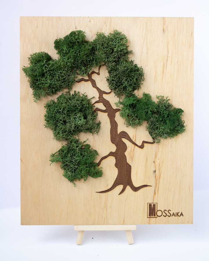 Картина - Дърво Бонсай | 25x30 см