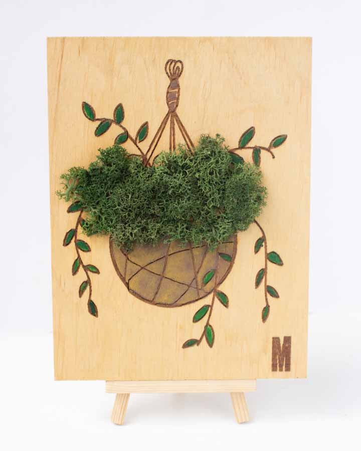 Picture "Hanging plant" | 15x20 cm